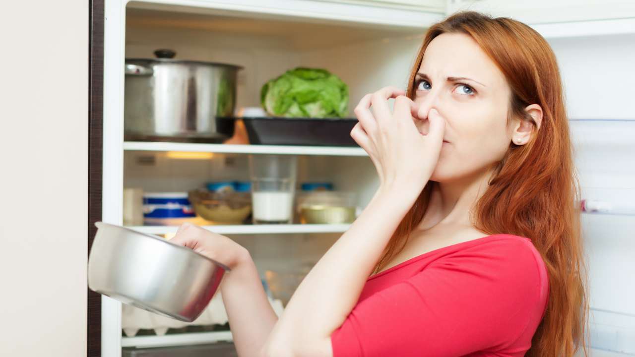 Pazzesco come la puzza del frigo finisca qui