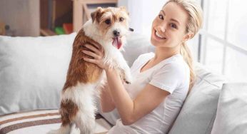 Hai adottato un cane, le prime cose da fare per farlo sentire a casa