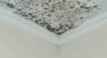 Vuoi realizzare un deumidificatore ecologico fatto in casa: ecco come fare