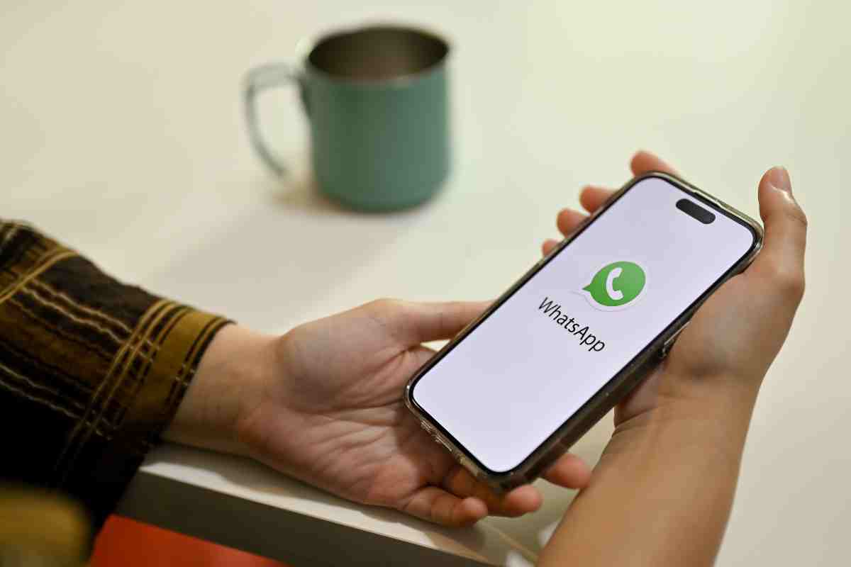 Come recuperare messaggi Whatsapp - Telereggiocalabria.it