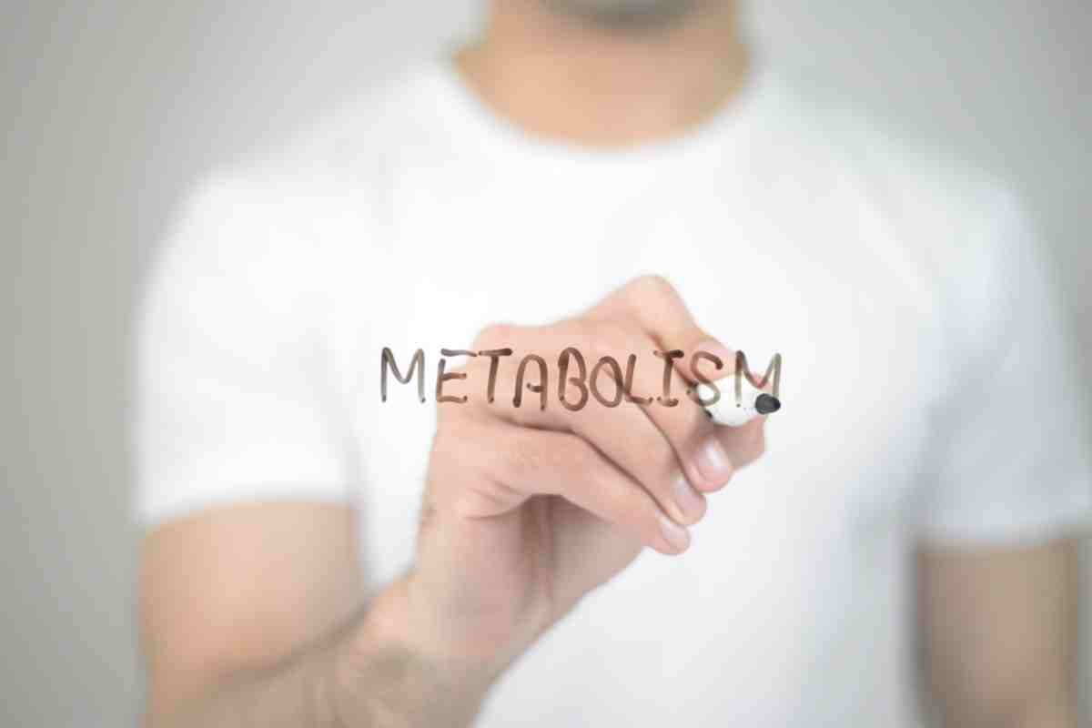 Metabolismo bloccato sintomi - Telereggiocalabria.it