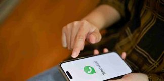 Whatsapp novità - Telereggiocalabria.it